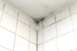 tips-for-painting-moldy-bathroom-walls-and-ceilings
