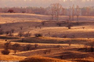 Vojvodina ~ pet iznenađenja koja vas očekuju na severu Srbije