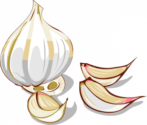 garlic-25382_640