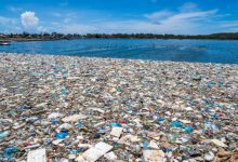 o zagađenju plastikom: deset zastrašujućih činjenica
