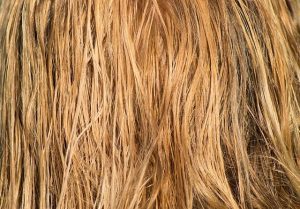 hair-3419148_640