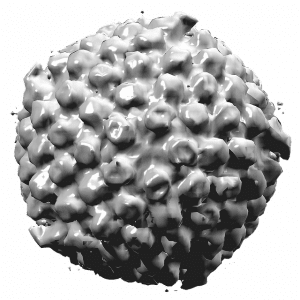 herpes-simplex-virus-type-i-1186534_640