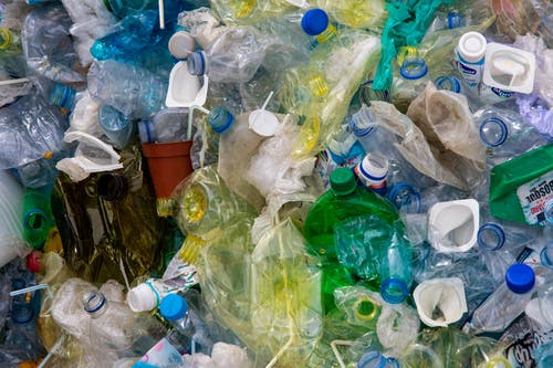 o zagađenju plastikom: deset zastrašujućih činjenica