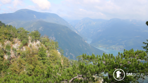 Planina Tara