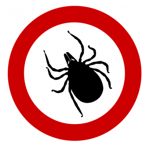 tick-1465065_640