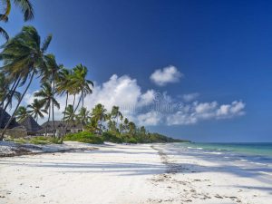 zanzibar-beach-beautiful-bwejuu-84561829