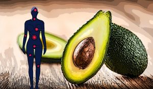Avocado-Benefits