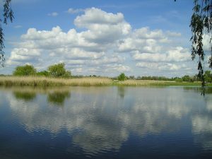 Zobnatica_Lake_near_Backa_Topola_Serbia