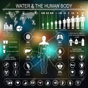 Water and human body infographic on dark background. Useful information about water. Concept of healthy lifestyle. Drink more water. Vector image.