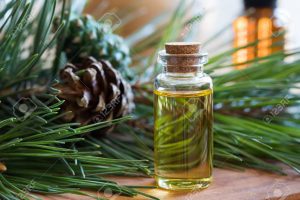 A bottle of pine essential oil with fresh pine twigs