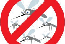 komarci i toplo vreme ~ kako se zaštititi?