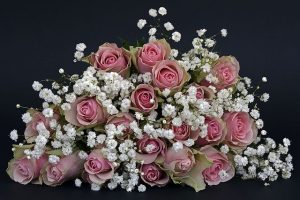 roses-1420719_640