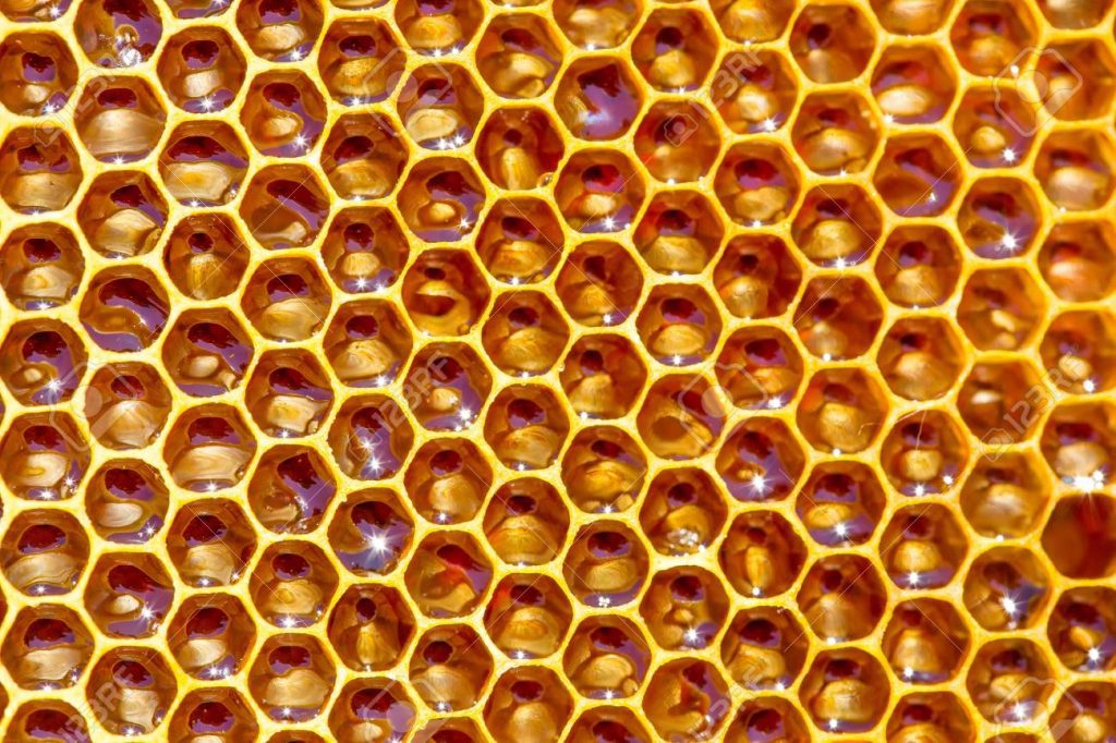 med ~ lekovita svojstva ovog pčelinjeg proizvoda