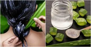 Aloe vera ~ naš moćni saveznik iz prirode