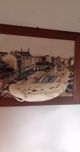 Naan: umeće pravljenja hleba na indijski način! (recept)