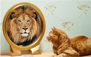 The-Key-to-Self-Knowledge-SEM-MOLD