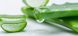 Aloe vera ~ naš moćni saveznik iz prirode