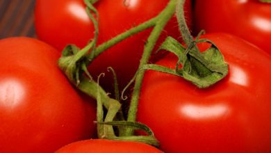 paradajz i zdravlje ~ otkrijte 9 lekovitih dejstava ove biljke