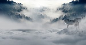 wolves-1341881_1280