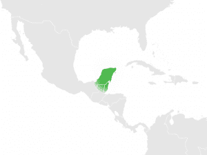 yucatan-peninsula-1