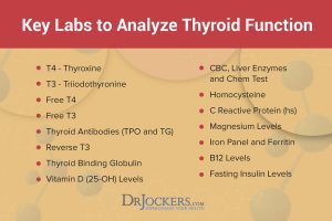 Thyroid-Labs