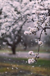 b14ffeecf353ee6140a18eb27086d5f1-2