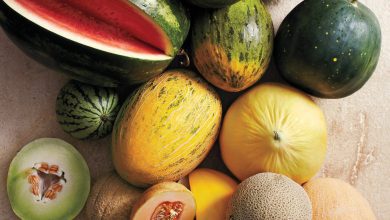 lubenica i dinja ~ lekovita svojstva ovih letnjih voćki (+recepti!)