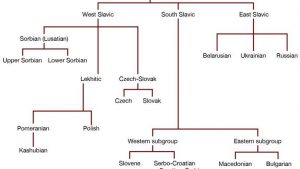 languages-family-tree