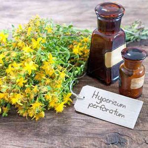 st-johns-wort-co2-extract-MAC-ERA-007