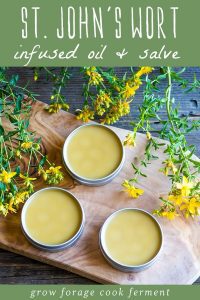 st.-johns-wort-salve-short-pin