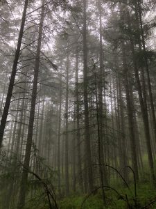 cole-freeman-KzbabixPDkE-unsplash