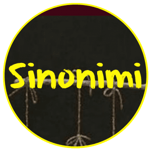 Šta su sinonimi - sinonimija u srpskom jeziku