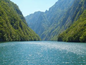 azbukovica