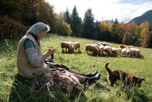 Lirika – mnogobrojne lirske vrste u književnosti