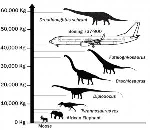 Titanosaurusi – 8 najvećih dinosaurusa na svetu