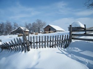 Lirika – mnogobrojne lirske vrste u književnosti