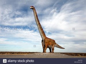 patagotitan-mayorum-lower-cretaceous-period-MH71F4