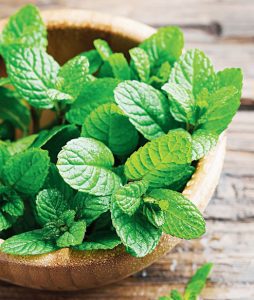 mint3