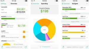 mint-dashboard-image