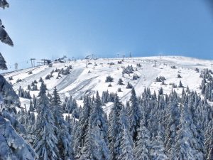 Pancicev_vrh_during_winter