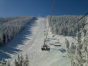 tornik-1