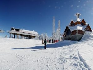 zlatibor-thumb