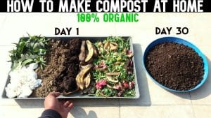 Video Thumbnail: How To Make Compost At Home (WITH FULL UPDATES)