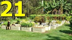 Video Thumbnail: 21 Herbs and Spices You Should ALWAYS Grow