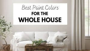 Video Thumbnail: Best Paint Colors for the Whole House