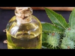 Video Thumbnail: LjEKOVITOST RICINUSOVOG ULJA - Ricinus Communis !!!